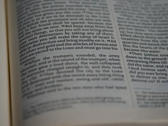 Casino Grand Eagle Soporte